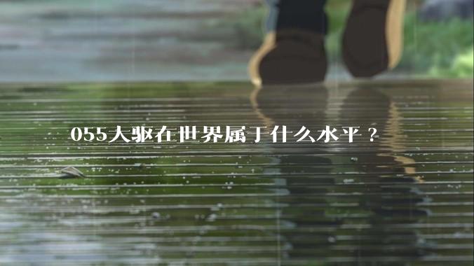 055大驱在世界属于什么水平?