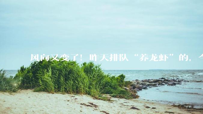 风向又变了！昨天排队“养龙虾”的，今天开始悄悄“杀虾”_OpenClaw_傅盛_电脑
