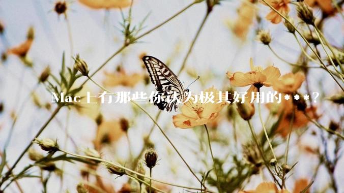 Mac上有那些你认为极其好用的***？