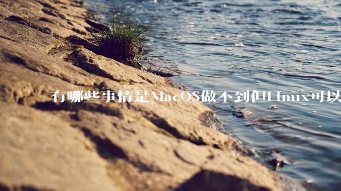 有哪些事情是MacOS做不到但Linux可以做到的？