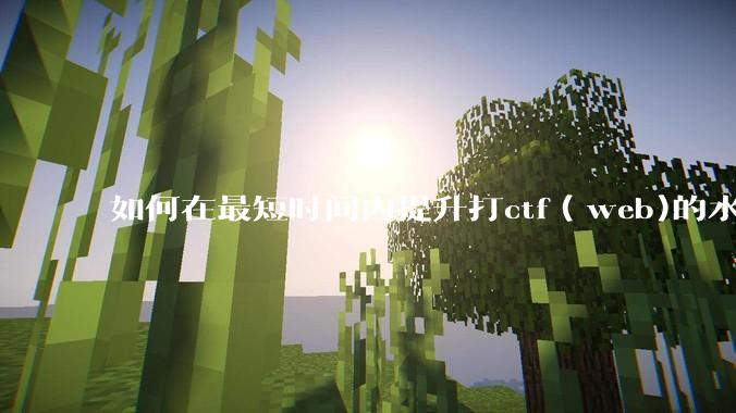 如何在最短时间内提升打ctf（web)的水平？